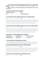 Referāts 'SIA "Rotaļlietas" merčendaizinga izpēte un pilnveidošanas iespējas', 21.