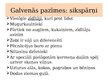 Prezentācija 'Placentāļi: kukaiņēdāji un sikspārņi', 11.
