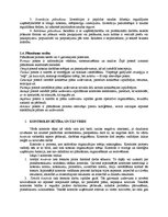 Referāts 'Organizācijas darbības plānošana un kontroles sistēmas', 4.