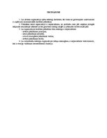 Referāts 'Organizācijas darbības plānošana un kontroles sistēmas', 6.