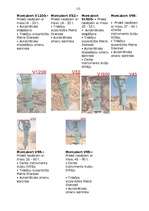 Referāts 'Ēku demontāžas iekārtas', 13.