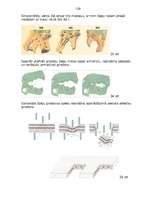 Referāts 'Ēku demontāžas iekārtas', 17.