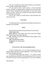 Diplomdarbs 'Latvijas un pasaules lielāko transnacionālo farmācijas korporāciju (TNK) salīdzi', 37.