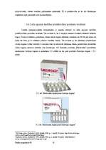 Diplomdarbs 'Latvijas un pasaules lielāko transnacionālo farmācijas korporāciju (TNK) salīdzi', 61.