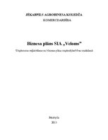 Biznesa plāns 'SIA "Veloms"', 1.