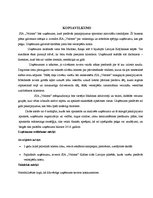 Biznesa plāns 'SIA "Veloms"', 3.