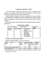 Biznesa plāns 'SIA "Veloms"', 7.