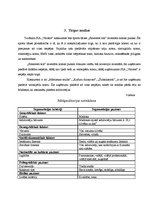 Biznesa plāns 'SIA "Veloms"', 8.