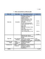 Biznesa plāns 'SIA "Veloms"', 10.