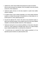 Biznesa plāns 'SIA "Veloms"', 11.