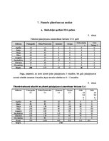 Biznesa plāns 'SIA "Veloms"', 13.