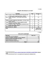 Biznesa plāns 'SIA "Veloms"', 16.