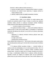 Diplomdarbs 'SIA "Maiznīca Liepkalni" finansiālā stāvokļa analīze un novērtējums', 20.