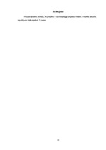 Referāts 'Ātrās ēdināšanas uzņēmuma SIA "Burkāns" investīciju plāns', 12.