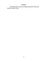 Referāts 'Ātrās ēdināšanas uzņēmuma SIA "Burkāns" investīciju plāns', 13.