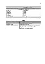 Diplomdarbs 'Maizes ceptuves projekts ar konditorejas cehu', 10.