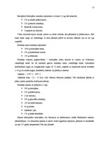 Diplomdarbs 'Maizes ceptuves projekts ar konditorejas cehu', 13.