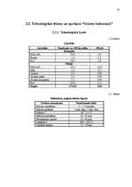 Diplomdarbs 'Maizes ceptuves projekts ar konditorejas cehu', 20.