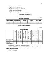 Diplomdarbs 'Maizes ceptuves projekts ar konditorejas cehu', 41.