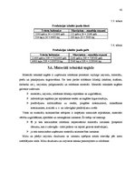 Diplomdarbs 'Maizes ceptuves projekts ar konditorejas cehu', 42.