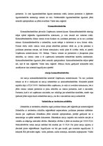 Referāts 'Polijas komerclikums', 4.