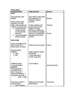Konspekts 'Aktīvā prakse integrētajā mācībā sākumskolā', 3.