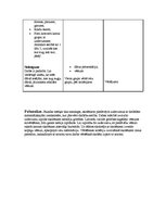 Konspekts 'Aktīvā prakse integrētajā mācībā sākumskolā', 4.