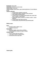 Konspekts 'Aktīvā prakse integrētajā mācībā sākumskolā', 7.