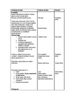 Konspekts 'Aktīvā prakse integrētajā mācībā sākumskolā', 8.