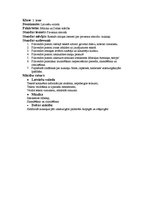 Konspekts 'Aktīvā prakse integrētajā mācībā sākumskolā', 12.