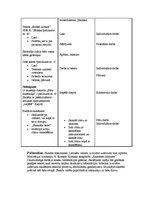 Konspekts 'Aktīvā prakse integrētajā mācībā sākumskolā', 14.