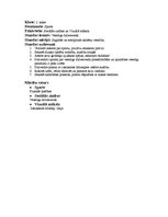 Konspekts 'Aktīvā prakse integrētajā mācībā sākumskolā', 15.