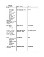 Konspekts 'Aktīvā prakse integrētajā mācībā sākumskolā', 16.