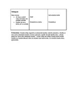 Konspekts 'Aktīvā prakse integrētajā mācībā sākumskolā', 17.