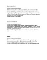 Konspekts 'Aktīvā prakse integrētajā mācībā sākumskolā', 18.