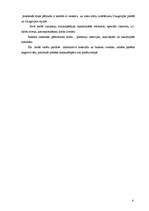 Referāts 'Tūrisma iespējas Daugavpilī un Daugavpils rajonā', 5.