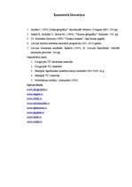 Referāts 'Tūrisma iespējas Daugavpilī un Daugavpils rajonā', 35.