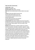 Prakses atskaite 'Pirmsskolas kvalifikācijas prakse (3 nedēļas). Tēmas - skaņas, profesijas, koki', 4.