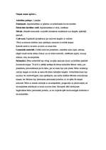 Prakses atskaite 'Pirmsskolas kvalifikācijas prakse (3 nedēļas). Tēmas - skaņas, profesijas, koki', 6.