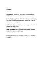 Prakses atskaite 'Pirmsskolas kvalifikācijas prakse (3 nedēļas). Tēmas - skaņas, profesijas, koki', 7.