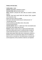 Prakses atskaite 'Pirmsskolas kvalifikācijas prakse (3 nedēļas). Tēmas - skaņas, profesijas, koki', 8.