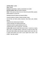 Prakses atskaite 'Pirmsskolas kvalifikācijas prakse (3 nedēļas). Tēmas - skaņas, profesijas, koki', 9.