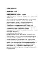 Prakses atskaite 'Pirmsskolas kvalifikācijas prakse (3 nedēļas). Tēmas - skaņas, profesijas, koki', 10.