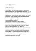 Prakses atskaite 'Pirmsskolas kvalifikācijas prakse (3 nedēļas). Tēmas - skaņas, profesijas, koki', 12.