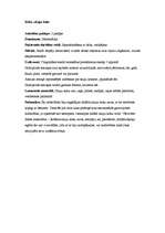 Prakses atskaite 'Pirmsskolas kvalifikācijas prakse (3 nedēļas). Tēmas - skaņas, profesijas, koki', 15.