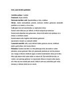 Prakses atskaite 'Pirmsskolas kvalifikācijas prakse (3 nedēļas). Tēmas - skaņas, profesijas, koki', 17.