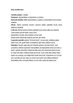 Prakses atskaite 'Pirmsskolas kvalifikācijas prakse (3 nedēļas). Tēmas - skaņas, profesijas, koki', 18.