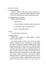 Referāts 'Konflikts un konflikta analīze uzņēmumā', 6.