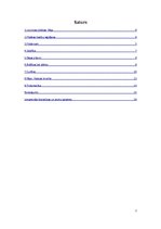 Referāts 'Livonijas pilsētas. Rīga', 2.