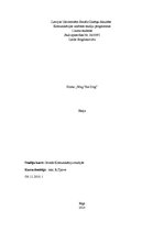 Eseja 'Eseja par filmu "Wag the Dog"', 1.